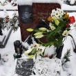 5. ronk Memorilu Milana Fialy ( podkovn )